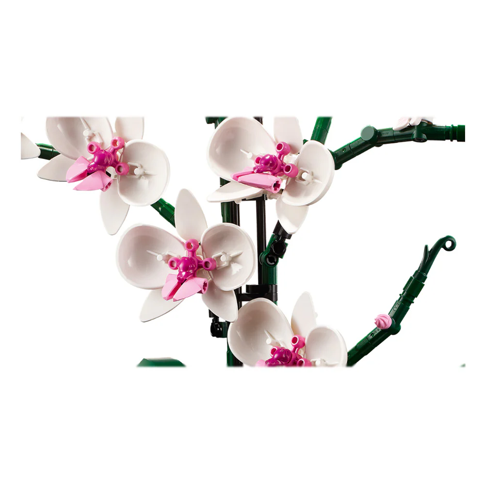 Imagen del producto 7